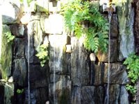 photos 2000-200902629